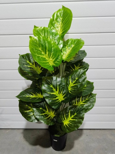 Фото 4