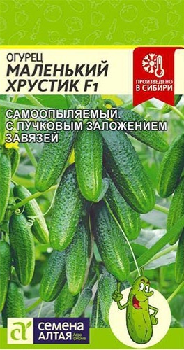 Семена Алтая огурец Маленький хрустик F1