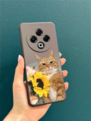 Чехол для TECNO Spark 30 рисунок