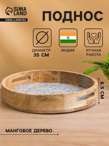Поднос 946070464 мультиколор