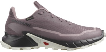 Кроссовки Salomon ALPHACROSS 5 GTX W фиолетовый