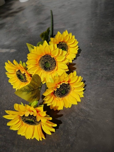 Фото 8