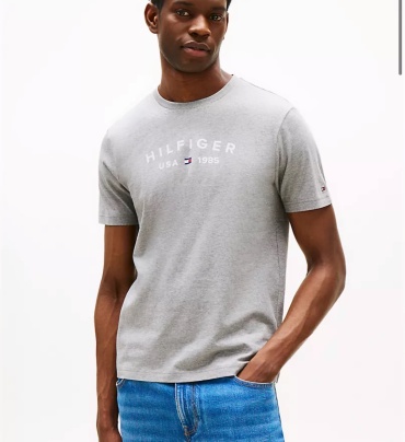 Футболка Tommy Hilfiger серый