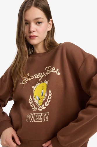 Свитшот DeFacto Looney Tunes, Tweety коричневый