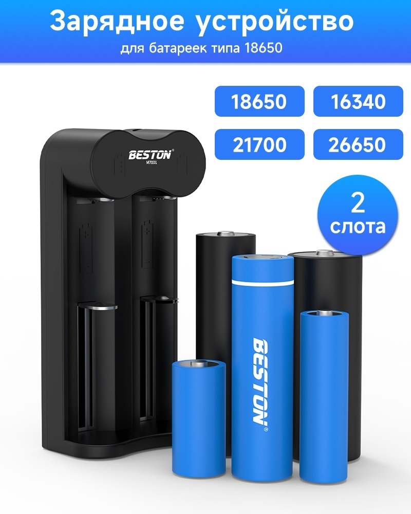 Зарядное устройство BESTON M7001