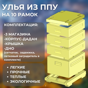Улей KAS04112024 1 шт