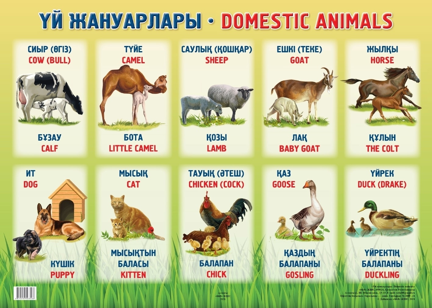 Жабайы адамдар порно видео