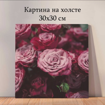 Quantum картина Растения и цветы 30x30 см