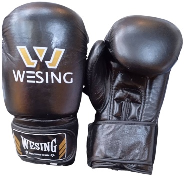 Боксерские перчатки WESING 10 oz черный