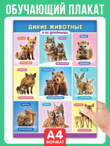 Плакат Дикие животные, A4, картон
