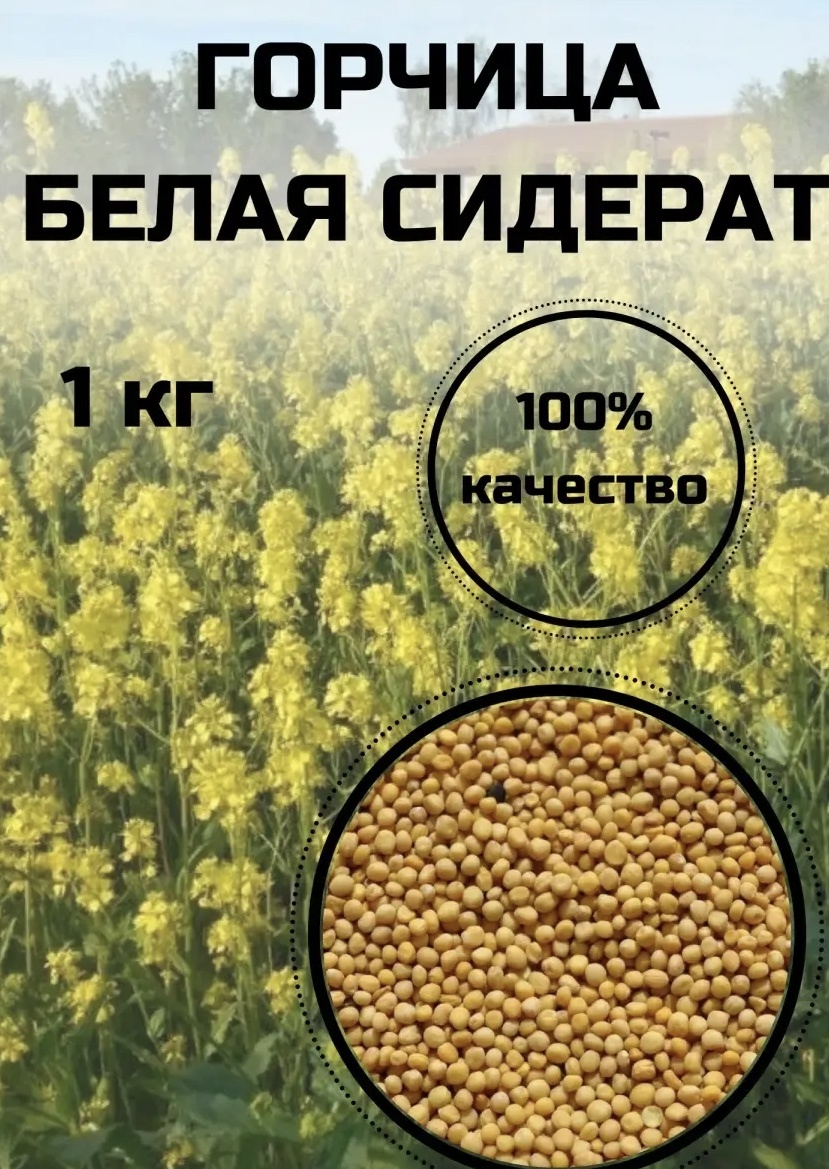 Мир семян горчица 1000 г