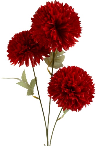 Фото 3