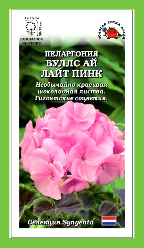 Золотая сотка Алтая пеларгония БУЛЛС АЙ ЛАЙТ ПИНК