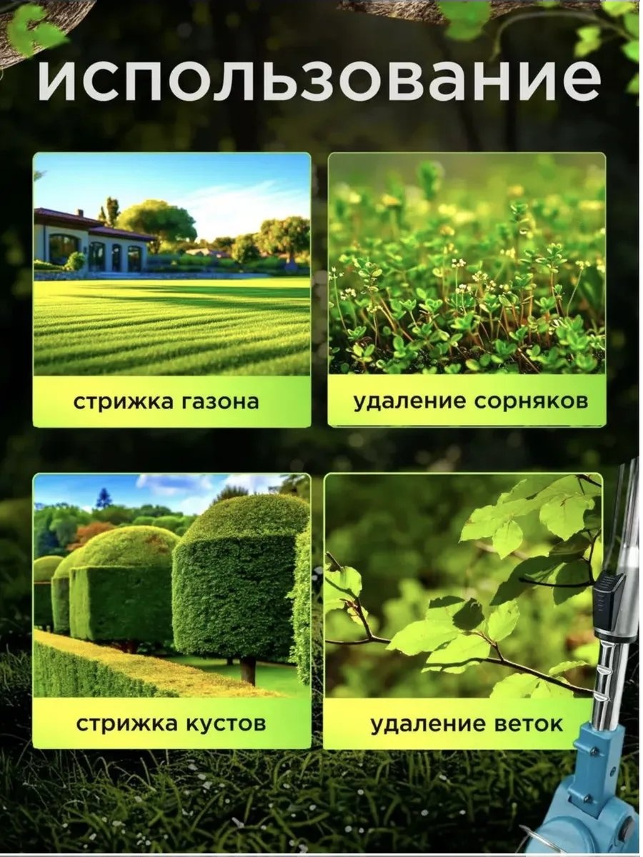 Фото 4