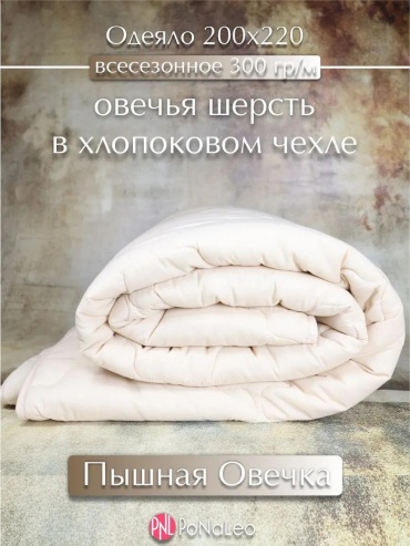 Одеяло хлопок; поплин 200х200 всесезонное