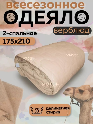 Одеяло Асика 119784877 175x210 всесезонное