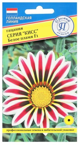 Престиж семена гацания «Кисс»
