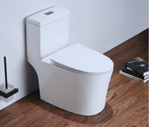 Caizer унитаз-моноблок Caizer 3012 UF, керамика