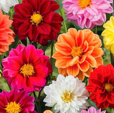 Фото 3