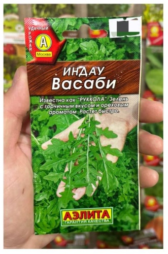 Аэлита индау Васаби