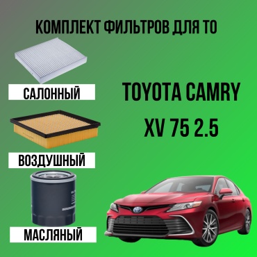 PAP комплект фильтров 17700-31770