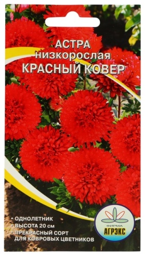 Агрэкс астра Красный ковер