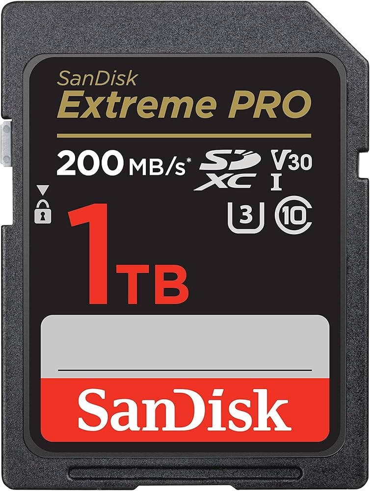 Карта памяти SanDisk SDSDXXD-1TOO-GN4IN 1024 Гб