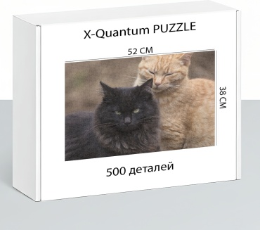 X-Quantum puzzle_j24eo4w7el классический 500 деталей
