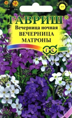 Гавриш вечерница Вечерница Матроны