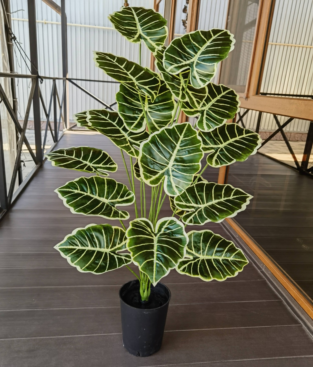 Фото 4