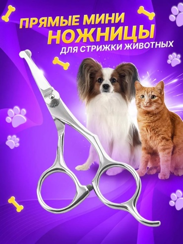 Прямые 245931360