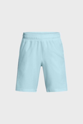 Спортивные шорты Under Armour голубой