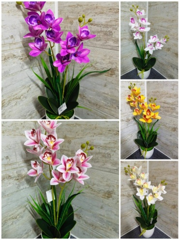 Фото 2