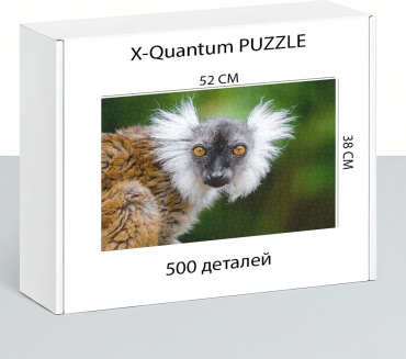 X-Quantum puzzle_rvzdbnk2an классический 500 деталей