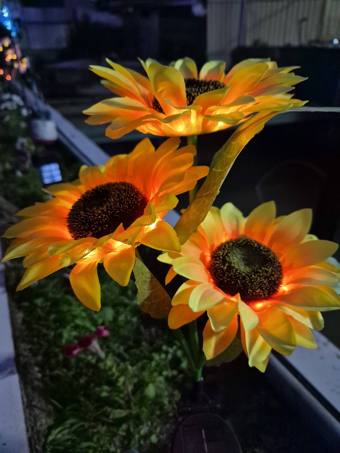 Фото 3