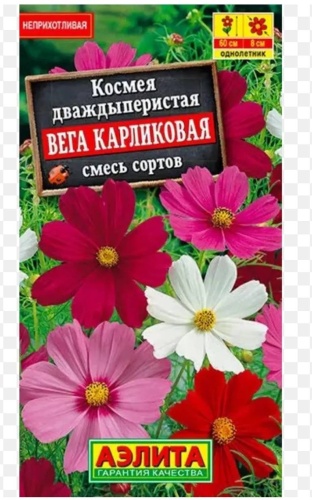 Аэлита космея Вега карликовая