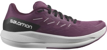 Кроссовки Salomon Spectur L41589100 мультиколор