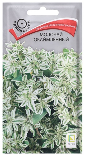 Поиск молочай Окаймленный