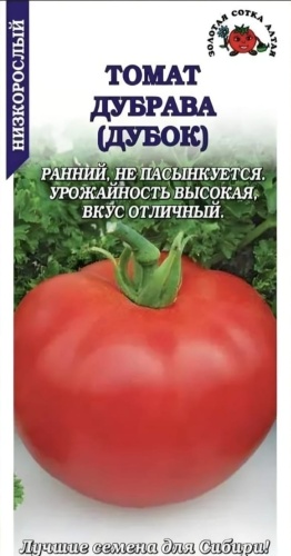 4season помидор Дубрава (Дубок)
