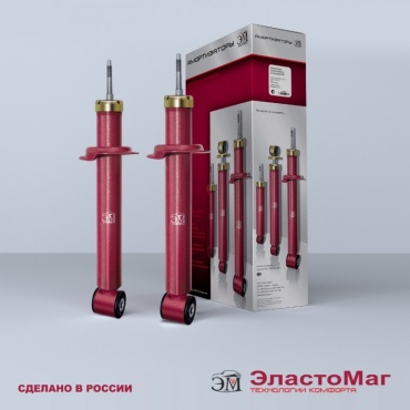 ЭластоМаг задний EM20896K 2 шт