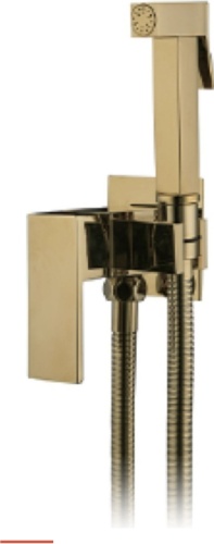 Смеситель для душа Casela cl55398G-3, латунь, цвет золотой