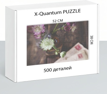 X-Quantum puzzle_d7lulp2s33 классический 500 деталей