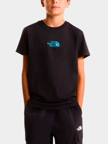 Футболка The North Face черный