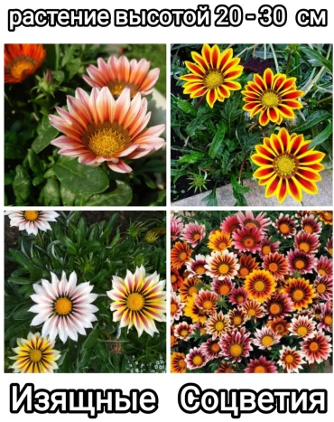 Фото 3