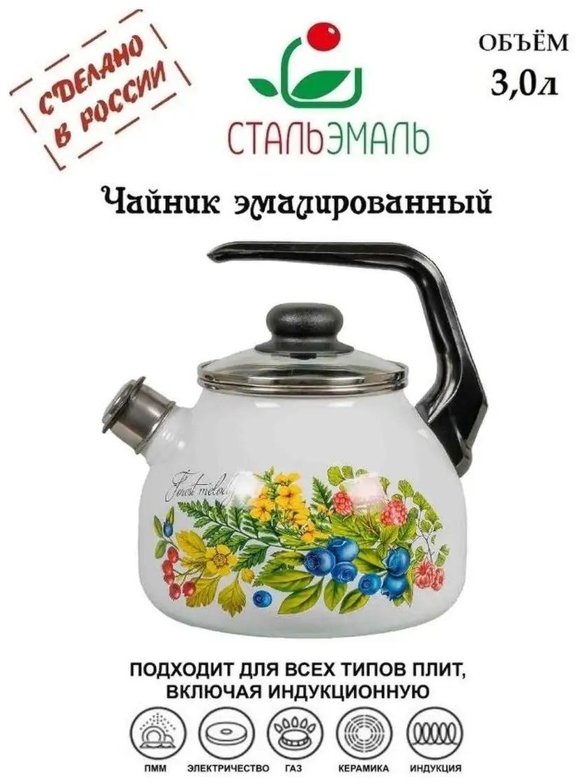 Чайник 137516522 3 л, сталь