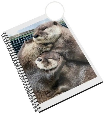 Скетчбук Каждому Своё Animals 154454981, A5, 48 л, прозрачный