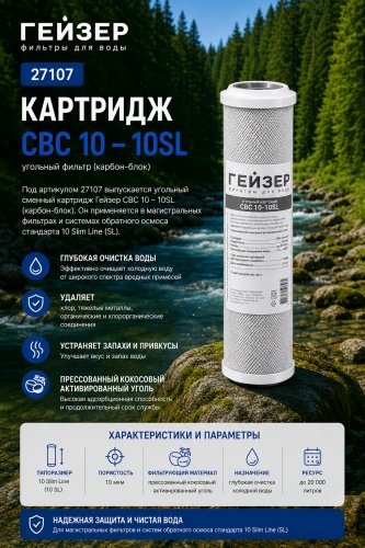 Гейзер картридж на магистральный фильтр 27107 1 шт