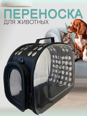 Переноска черный, прозрачный