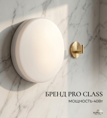 Светильник настенно-потолочный Pro Class LED белый
