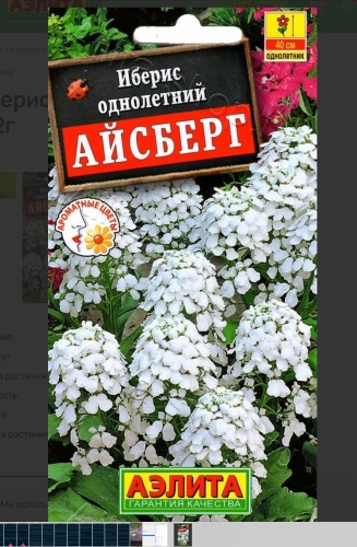 Аэлита иберис Иберис однолетний Айсберг